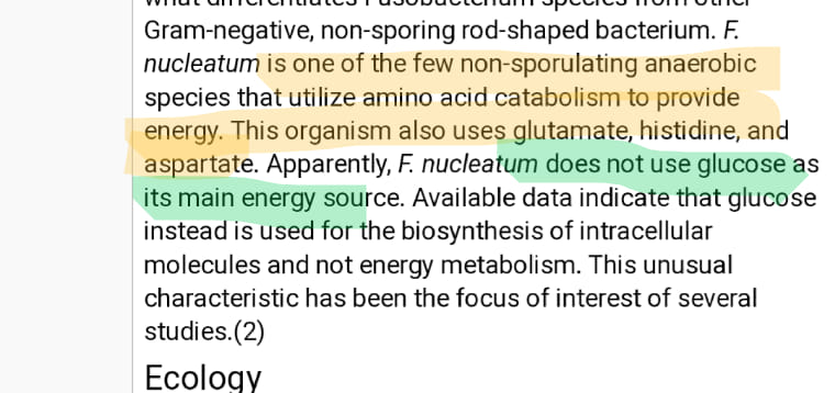 fusobacterium fuel